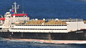 El Spiridon II, el barco con casi 3.000 vacas uruguayas, atracó en Libia y desembarcó a los animales