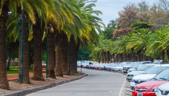 Nochebuena en Mendoza: calor moderado y condiciones ideales para la mesa navideña