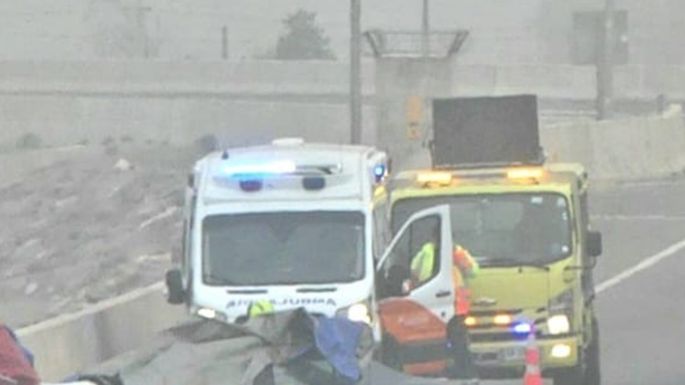 Un matrimonio argentino murió en una ruta chilena