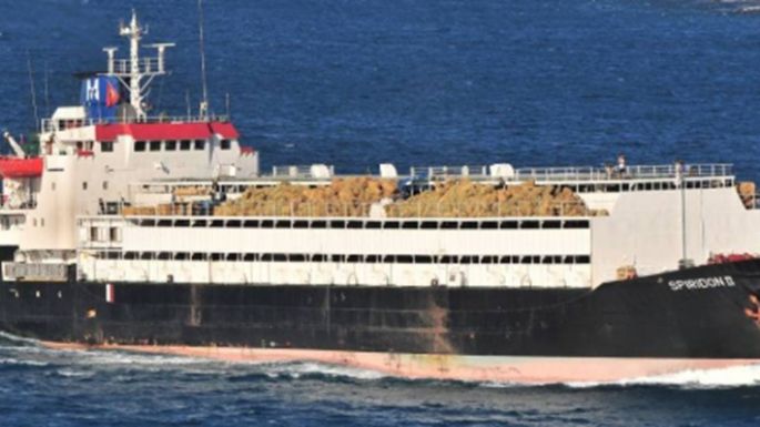 El Spiridon II, el barco con casi 3.000 vacas uruguayas, atracó en Libia y desembarcó a los animales