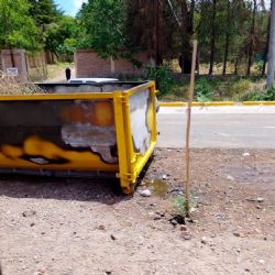 Vandalismo y crueldad: un perro murió quemado tras un incendio intencional en la ruta 82