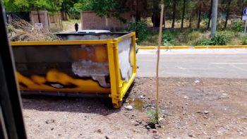 Vandalismo y crueldad: un perro murió quemado tras el incendio de un contenedor