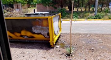 Vandalismo y crueldad: un perro murió quemado tras un incendio intencional en la ruta 82