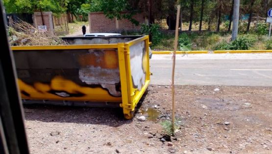 Vandalismo y crueldad: un perro murió quemado tras un incendio intencional en la ruta 82