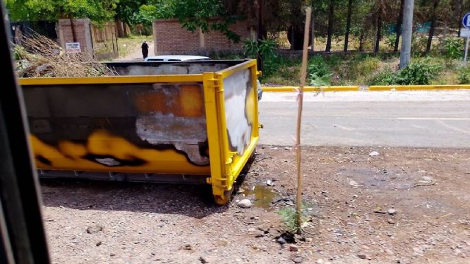 Vandalismo y crueldad: un perro murió quemado tras un incendio intencional en la ruta 82