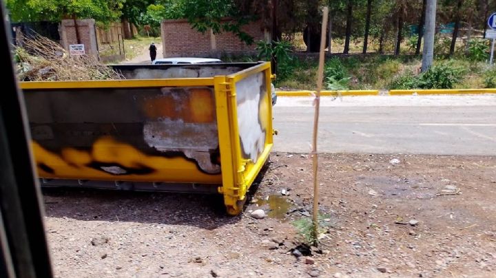 Vandalismo y crueldad: un perro murió quemado tras un incendio intencional en la ruta 82