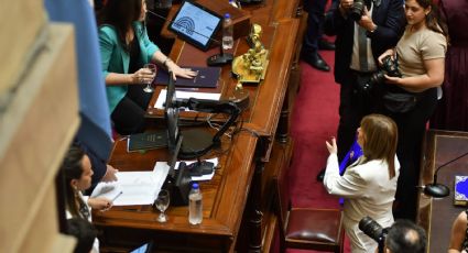 Bullrich juró como senadora y tuvo su primer cruce con Villarruel