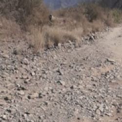 Misión imposible: vecinos denuncian el deplorable estado del camino de ingreso al cerro Arco