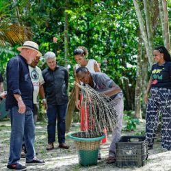 Lula se compromete a parar la deforestación en Amazonía
