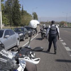 Tres cambios claves en la Licencia de Conducir, tarjeta verde y seguro
