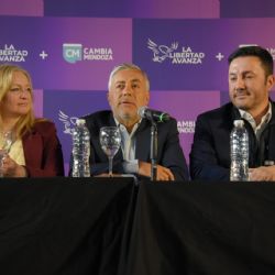 Hebe Casado le pasó factura a Luis Petri y le quitó mérito por el triunfo