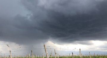 Pronóstico: para el viernes se esperan tormentas con granizo en Mendoza 