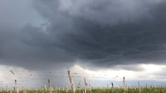 Pronóstico: para el viernes se esperan tormentas con granizo en Mendoza 