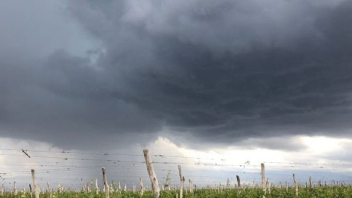 Pronóstico: para el viernes se esperan tormentas con granizo en Mendoza 