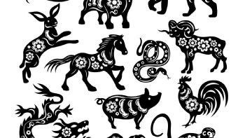 Horóscopo chino: empieza una semana de crecimiento