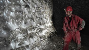 Encontraron una megaciudad subterránea de más de 100 mil arañas