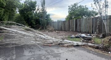 Árboles caídos y casas anegadas: el balance de la tormenta en Mendoza