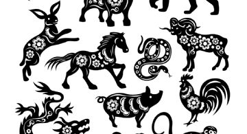 Horóscopo chino: empieza una semana de crecimiento