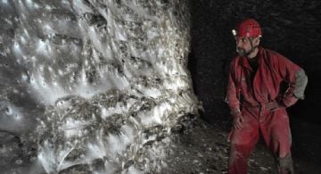 Encontraron una megaciudad subterránea de más de 100 mil arañas