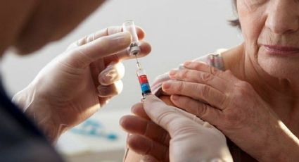 Mendoza refuerza sistemas de vigilancia por gripe H2N3