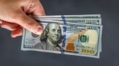 Foto ilustrativa de la nota titulada: El dólar oficial se mantuvo estable