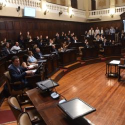 San Jorge: Oikos presentó acción de inconstitucionalidad, inconvencionalidad y nulidad de la DIA