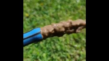 Chocolate por la noticia: vecinos alertan que sale barro en las mangueras de Maipú