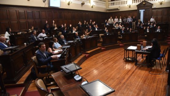 San Jorge: Oikos presentó acción de inconstitucionalidad, inconvencionalidad y nulidad de la DIA