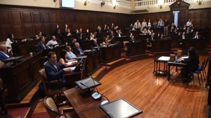 San Jorge: Oikos presentó acción de inconstitucionalidad, inconvencionalidad y nulidad de la DIA