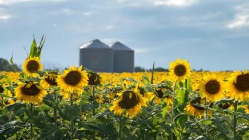 Finalmente, oficializaron la baja de retenciones