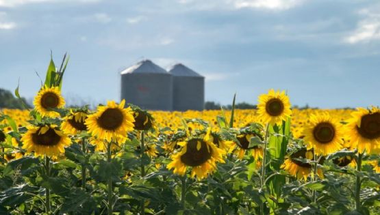Finalmente, oficializaron la baja de retenciones