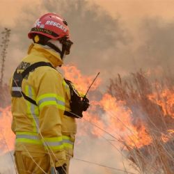 Bariloche y El Bolsón con riesgo “muy alto” de incendios forestales