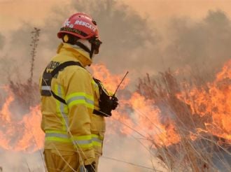 Endurecen las multas por incendios y desmontes ilegales en Mendoza