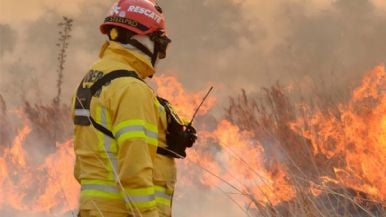 Foto iliustrativa de  Endurecen las multas por incendios y desmontes ilegales en Mendoza