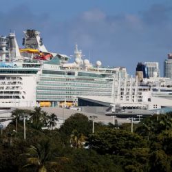 Tomó 33 tragos y se agarró a trompadas con la tripulación del crucero