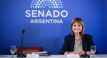 José Mayans explotó contra Patricia Bullrich: "Hacen lo que se les cantan las pelotas"