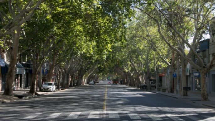 Renovaron autoridades del Consejo Provincial en Defensa del Arbolado Público