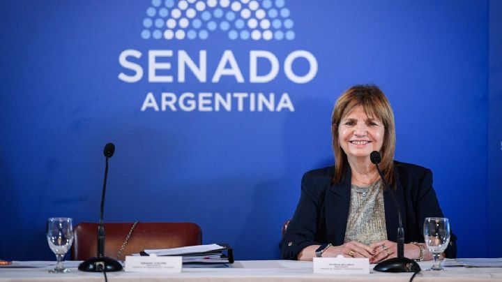 José Mayans explotó contra Patricia Bullrich: "Hacen lo que se les cantan las pelotas"