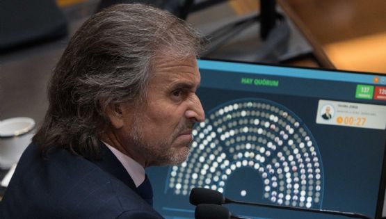 Cuál fue el artículo que el Gobierno no pudo mantener