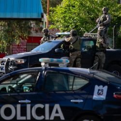 Megaoperativo con 37 allanamientos y 20 detenidos en La Favorita