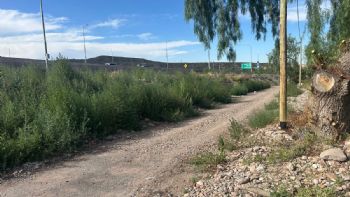 Vecinos denuncian obras inconclusas en la ruta 82 y favoritismo político