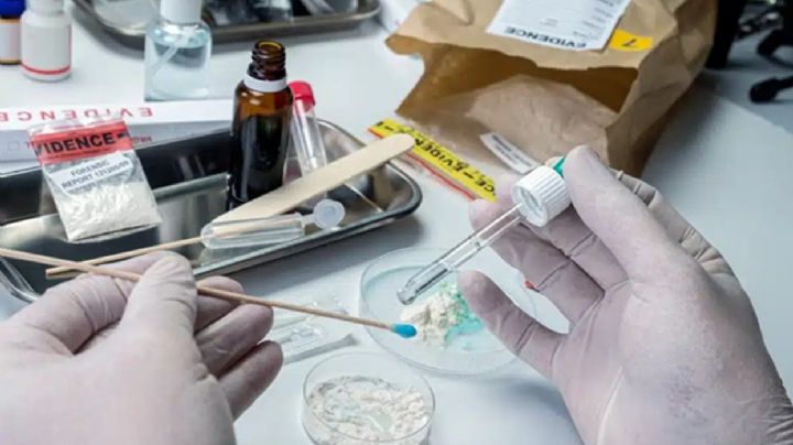 Medetomidina: la droga de uso veterinario que genera una nueva crisis