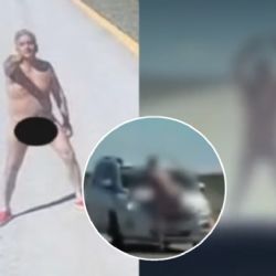 Un ciudadano chileno desnudo se lanzó sobre un auto argentino 