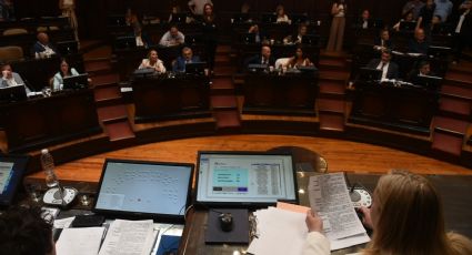 Cuántas sesiones hubo este año en el Senado de Mendoza 