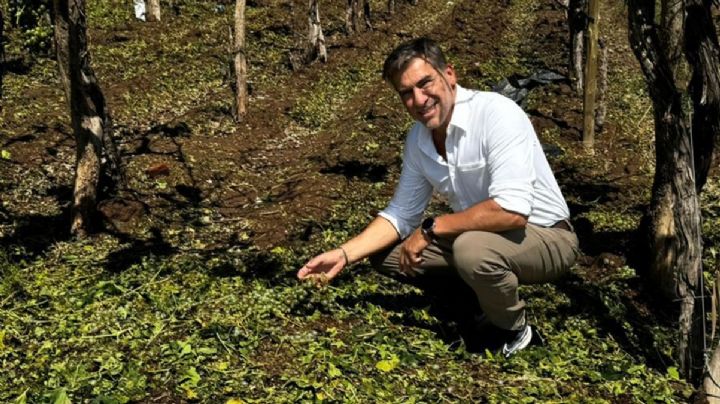 Vadillo cargó contra la lucha antigranizo en San Rafael