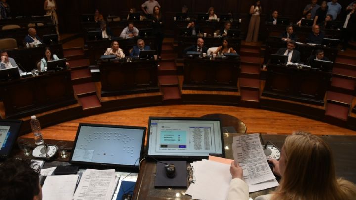 Cuántas sesiones hubo este año en el Senado de Mendoza 