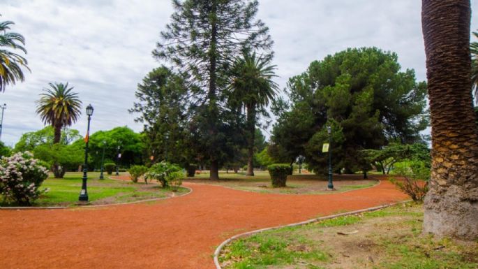 Muy caluroso: así va a estar el tiempo mañana en Mendoza 