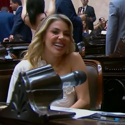 El curioso juramento de Virginia Gallardo en la Cámara de Diputados 