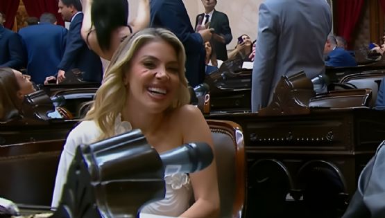 El curioso juramento de Virginia Gallardo en la Cámara de Diputados 
