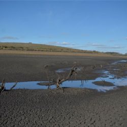 Se seca Uruguay y llama a racionalizar el agua una vez más